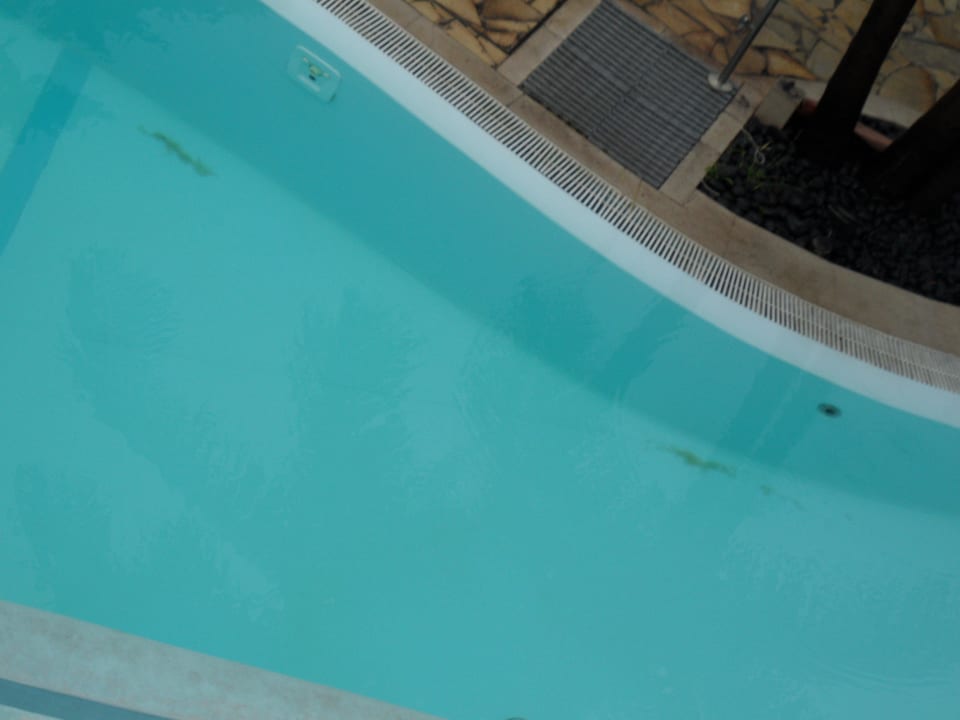 Sand/Dreck im Pool Quinta Funchal Gardens - Adults Only