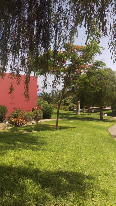 Der Gartenblick allsun App.-Hotel Esquinzo Beach