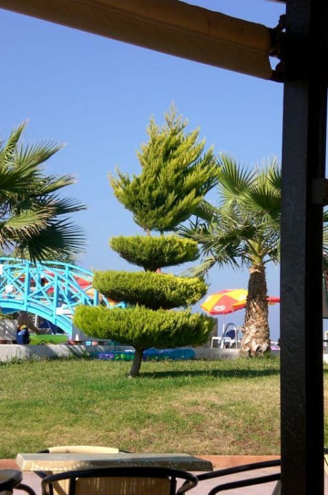 Natur allsun Hotel Carolina Mare