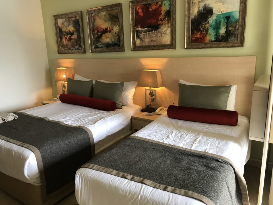 Zimmer PALOMA Perissia