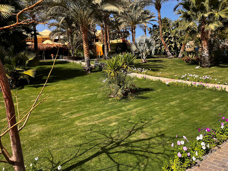 Außenansicht Steigenberger Coraya Beach - Adults only