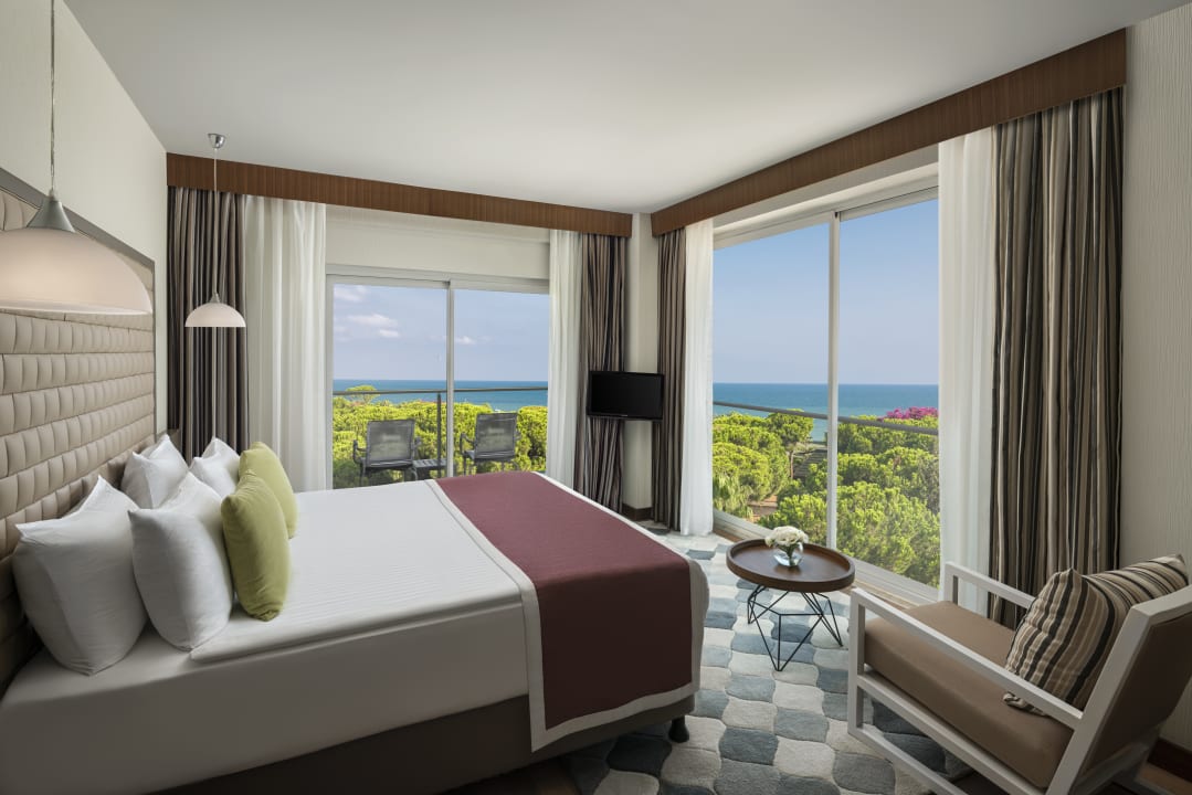 Zimmer Papillon Ayscha