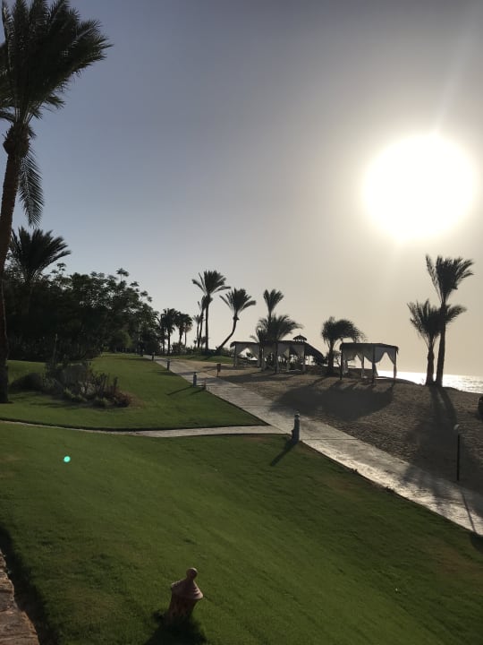 Gartenanlage Steigenberger Coraya Beach - Adults only