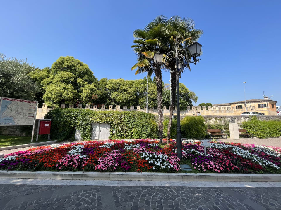 Gartenanlage Hotel Palme & Suite