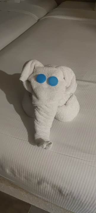 Zimmer Beach Albatros Resort