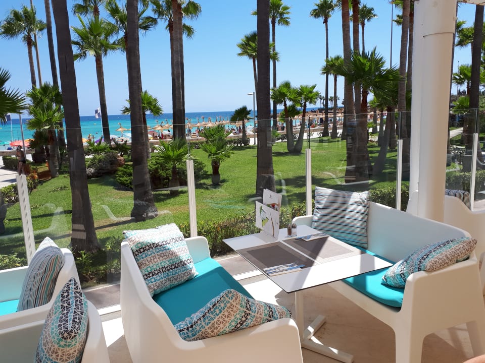 "Ausblick" Hipotels Mediterraneo - Adults Only (Sa Coma) • HolidayCheck ...