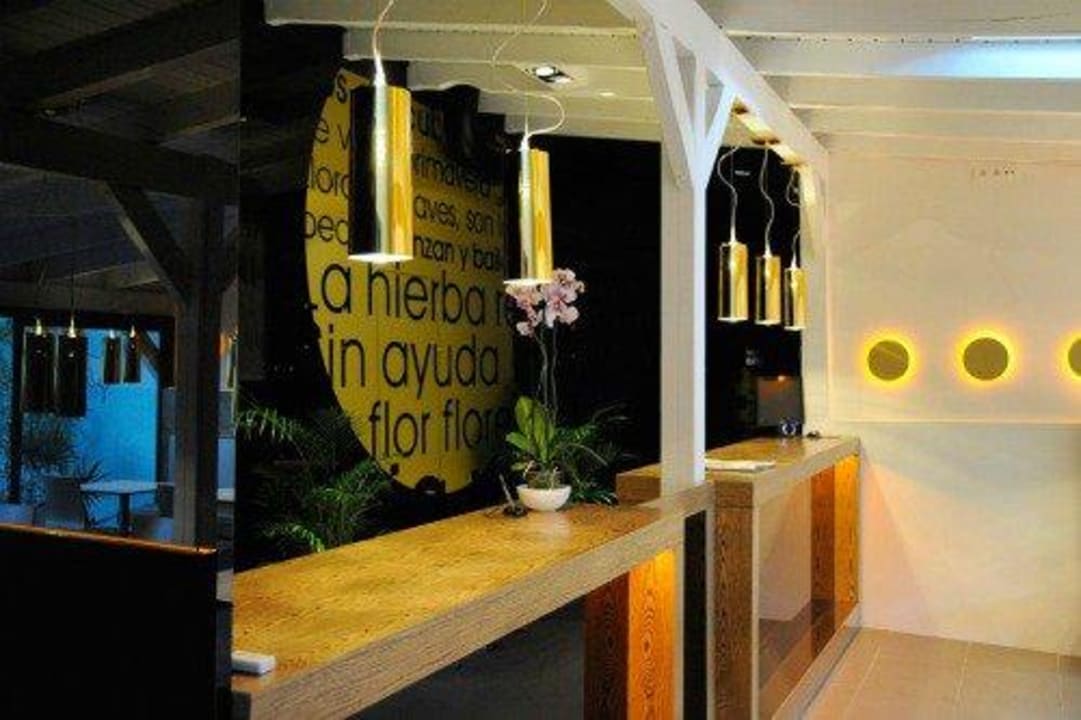 Recepción Hotel Domus