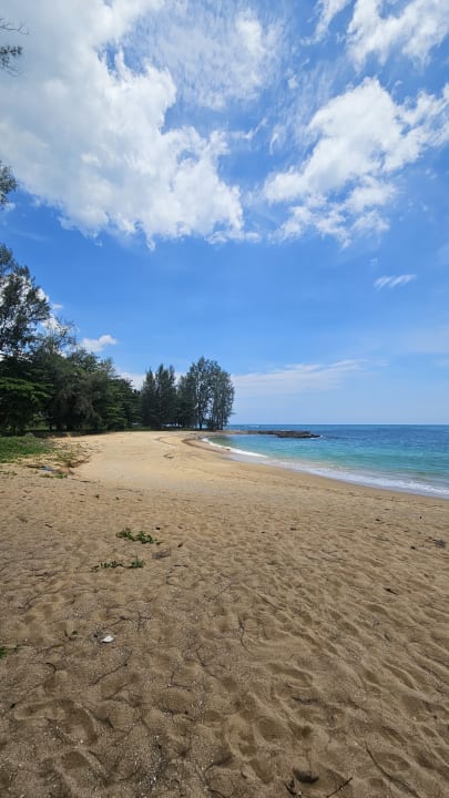 Strand The Leaf on The Sands by Katathani
