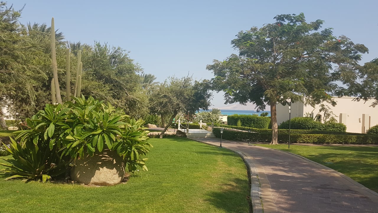 Gartenanlage JAZ Belvedere Resort