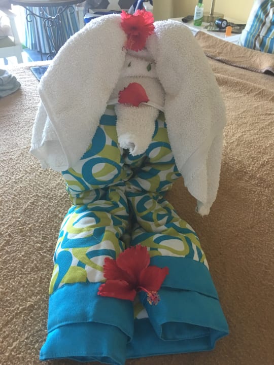 Zimmer Iberostar Origin Taínos