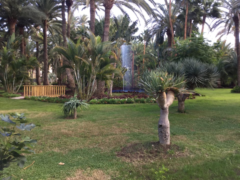 Gartenanlage Hotel Riu Palace Oasis