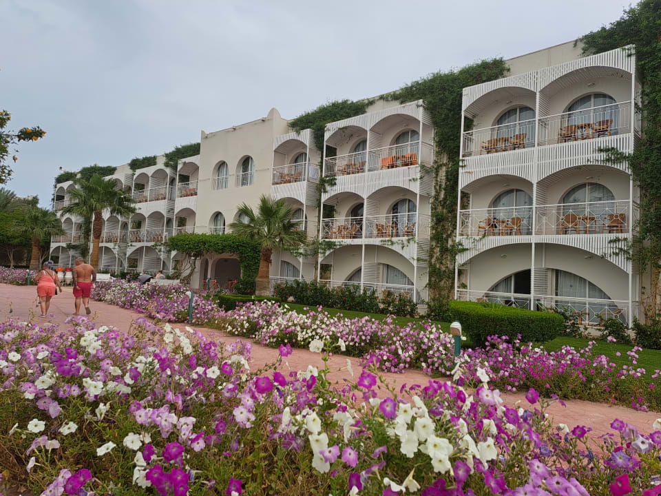 Außenansicht Desert Rose