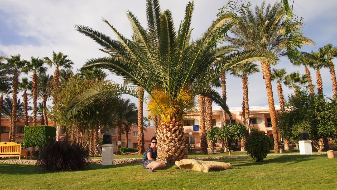 Garden Beach Albatros Resort