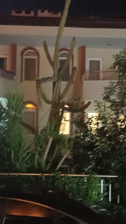 Außenansicht Hotel Sirma