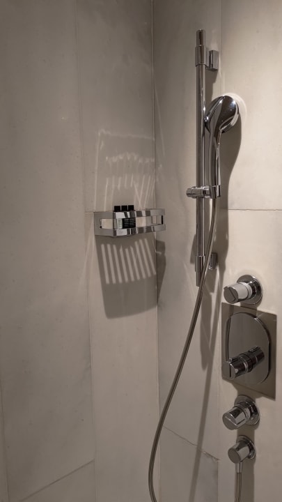 Zimmer The Excelsior Hotel