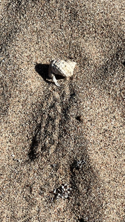 Sonstiges Coral Sun Beach
