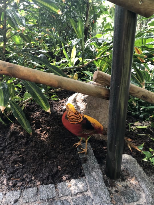 Gartenanlage Tropical Islands Resort