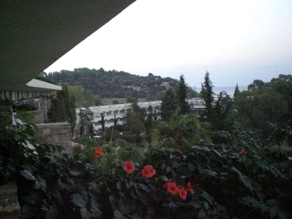 Balkon Hotel Athos Palace