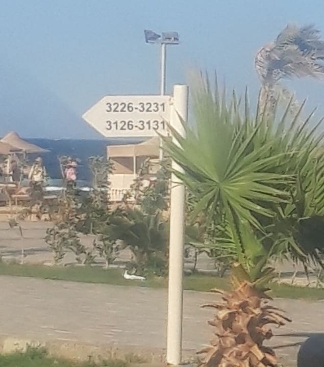 Ausblick Pickalbatros Sea World Resort - Marsa Alam