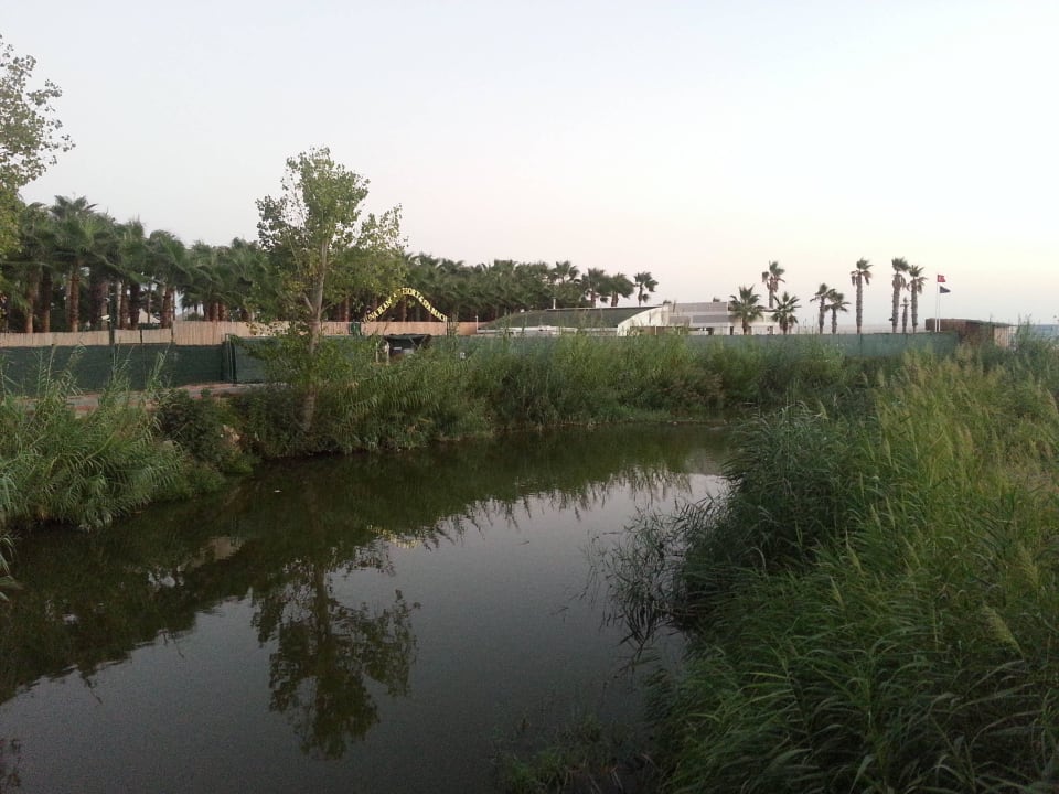 Rzeka zaraz przy plaży Luna Blanca Resort & Spa