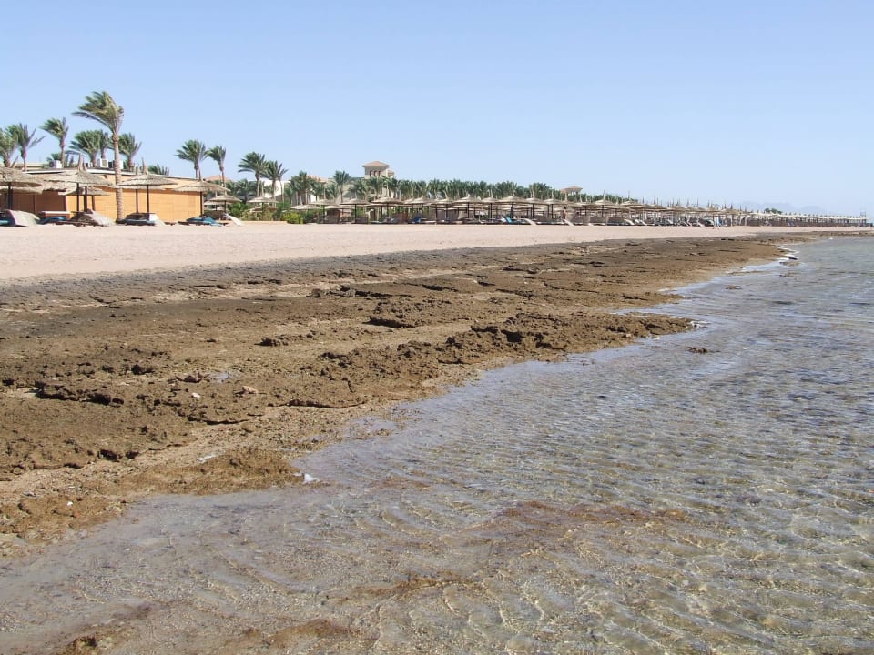 Brzeg Sea Beach Aqua Park Resort Managed by Blue Resorts
