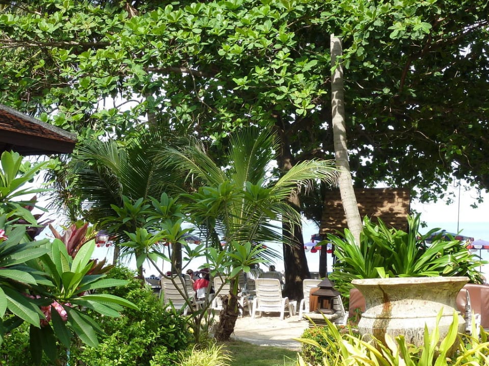 Rundgang The Fair House Beach Resort