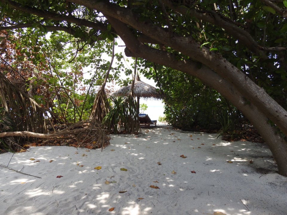 Blick vom Bungie zum Strand Reethi Faru Resort