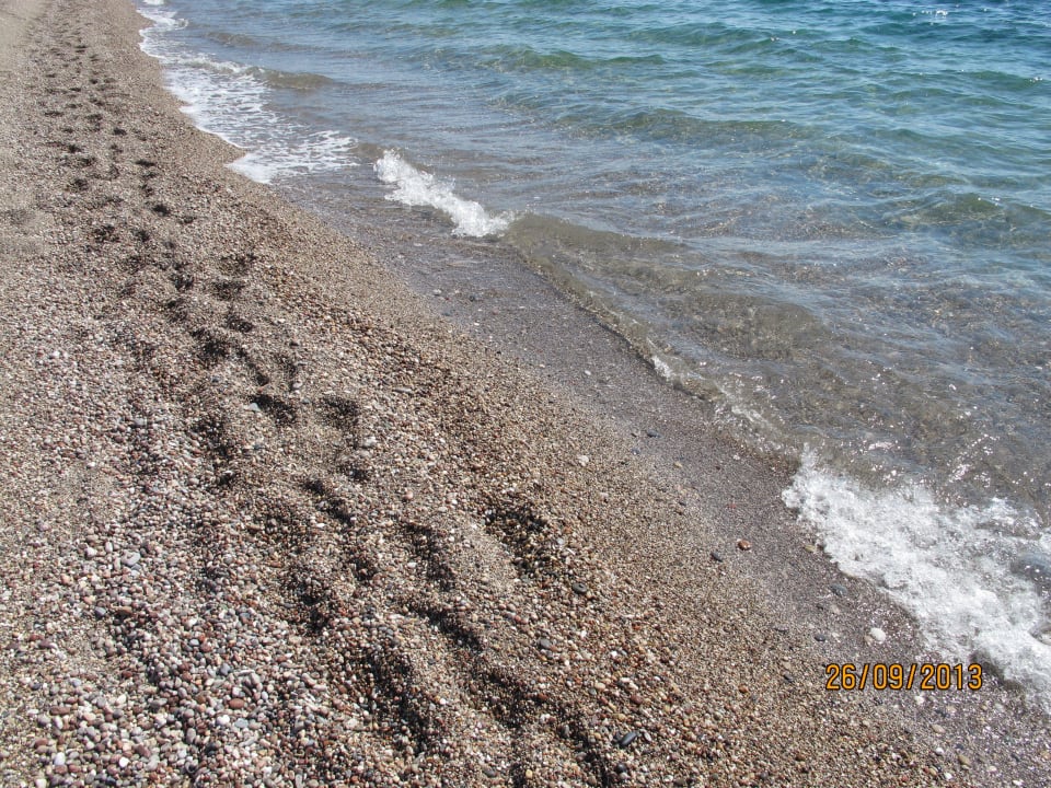 Grząska kamienista plaża Princess Andriana Resort & Spa