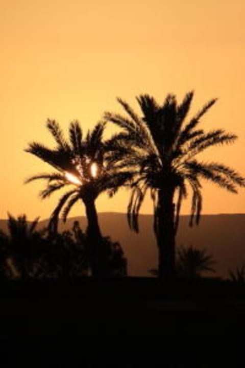 Sonnenuntergang Hotel Turtle Guest House