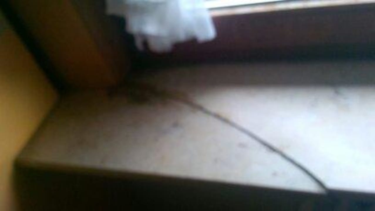 Fensterbank Sonnenmatte-Titisee B+B Hotel Guesthouse