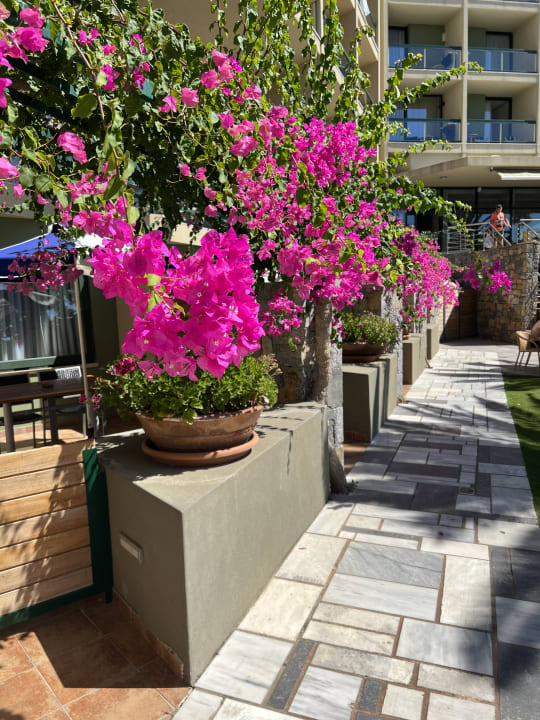 Gartenanlage Calimera Sirens Beach