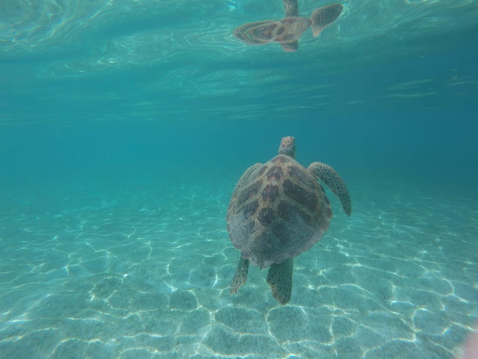 Strand Kuredu Island Resort & Spa
