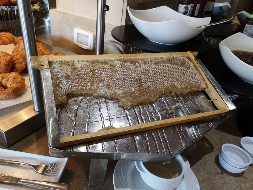 Gastro Makadi Spa - Adults only