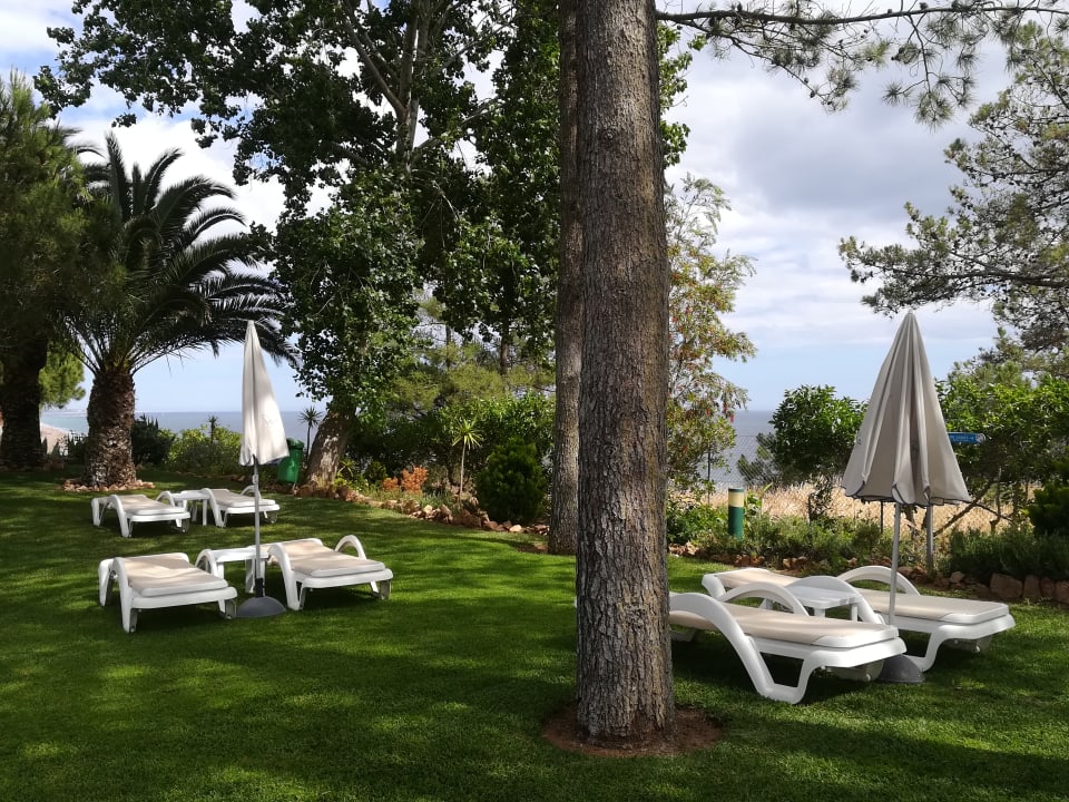 Gartenanlage PortoBay Falésia