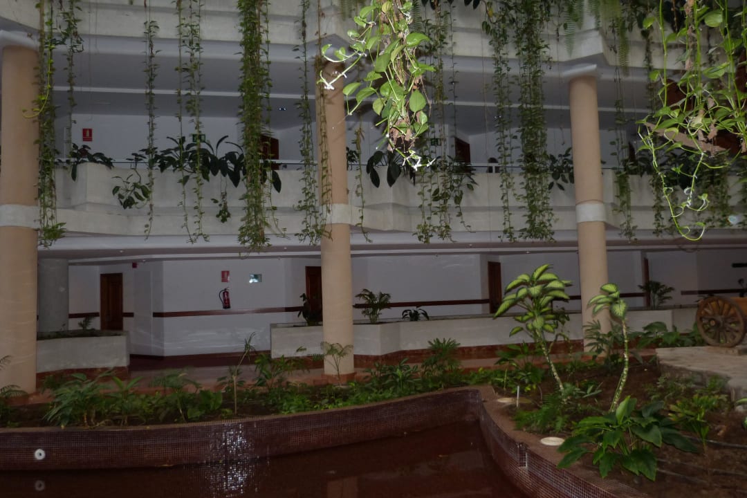 Roślinność Landmar Playa La Arena