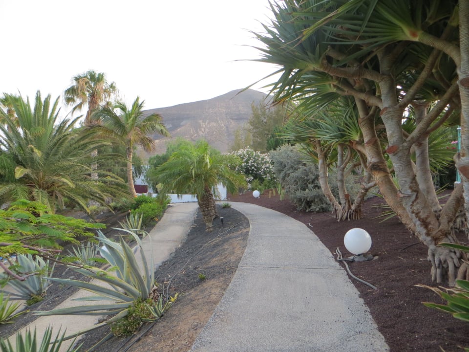 Weg allsun App.-Hotel Esquinzo Beach