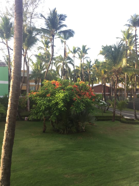 Außenansicht Grand Palladium Select Bávaro Resort & Spa