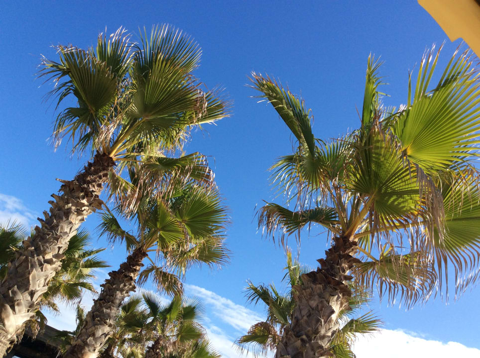 Strand Oceana Hotel & Spa