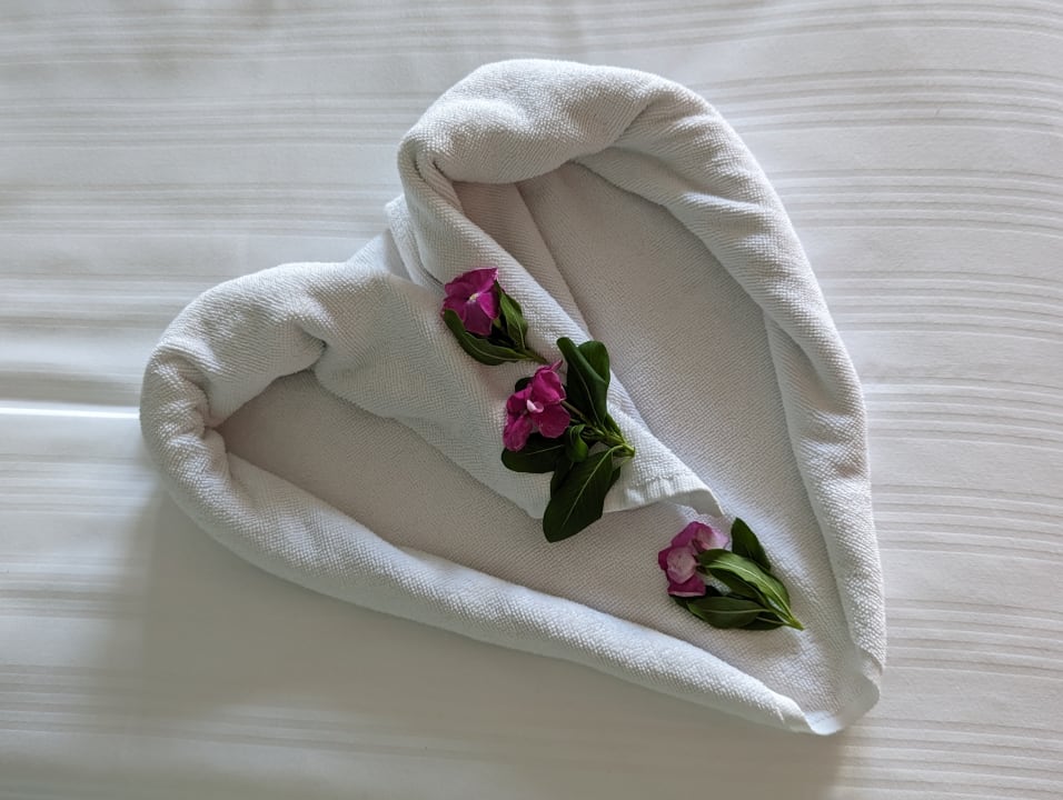 Zimmer Papillon Zeugma Relaxury