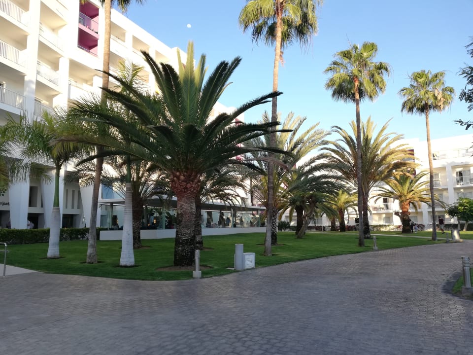 Garten Hotel Riu Gran Canaria