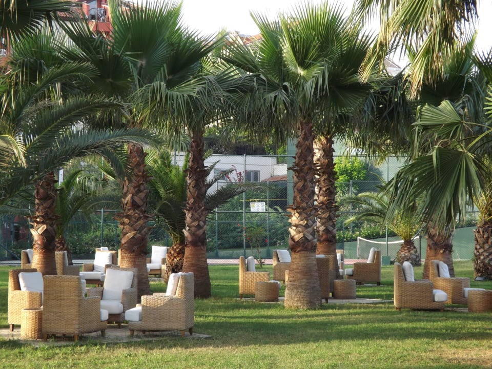 Biergarten Royal Atlantis Beach Hotel