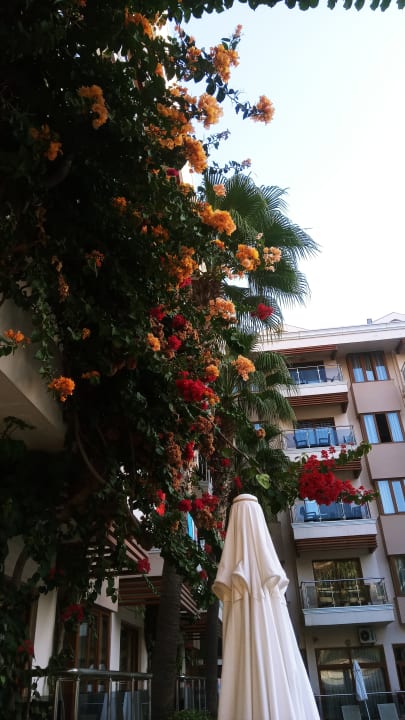 Außenansicht Sun Beach Park & Spa