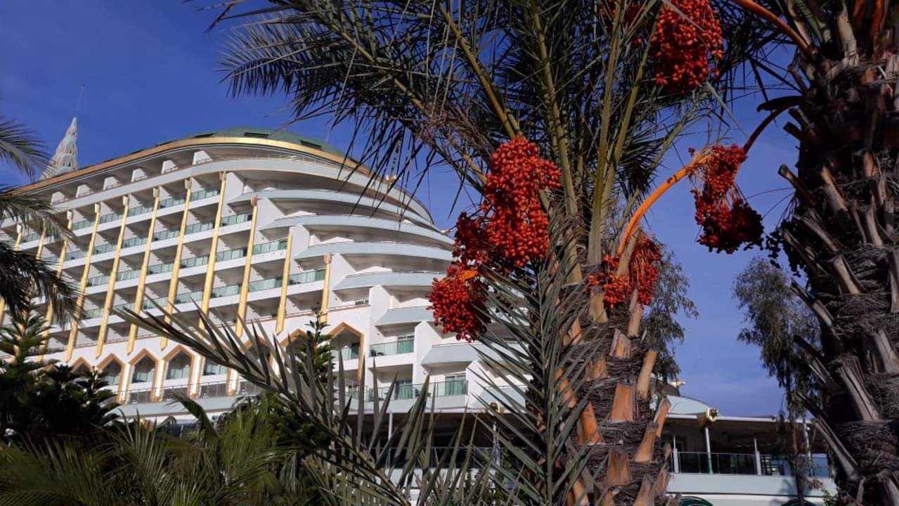 Gartenanlage Hotel Delphin Imperial