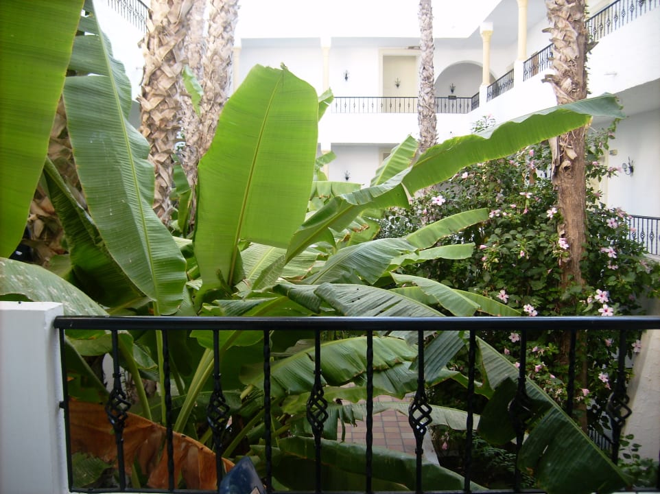 Sonstiges Hotel Nesrine