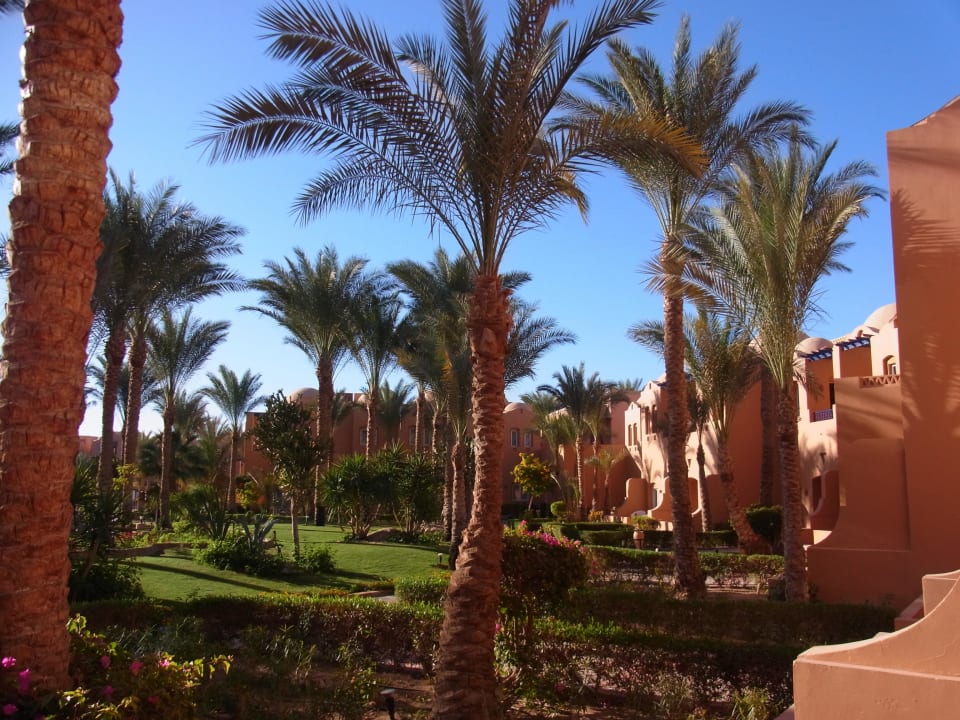 Blich in den Garten Jaz Makadi Oasis Resort