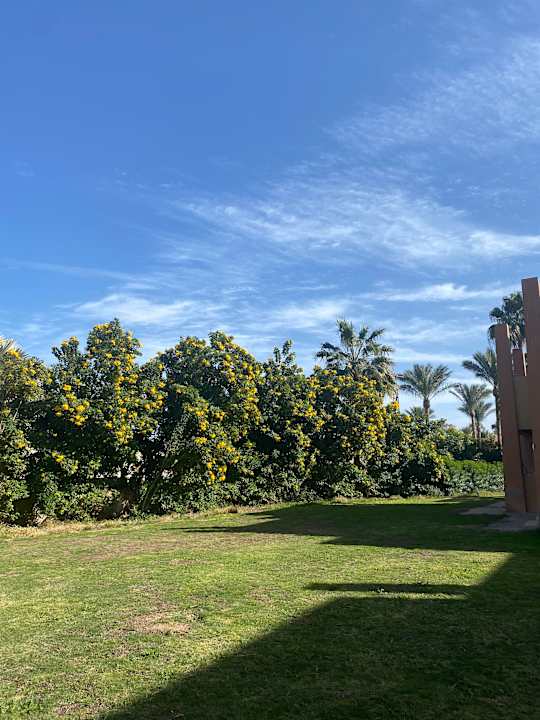 Gartenanlage Stella Garden Resort & Spa, Makadi Bay