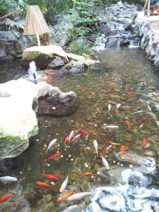 Center Parcs Park Hochsauerland Center Parcs Park Hochsauerland