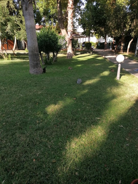 Gartenanlage Labranda Alantur Resort