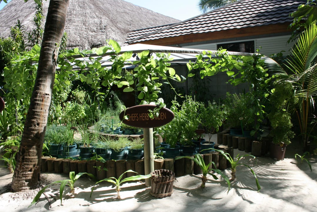 Kräutergarten Kuredu Island Resort & Spa