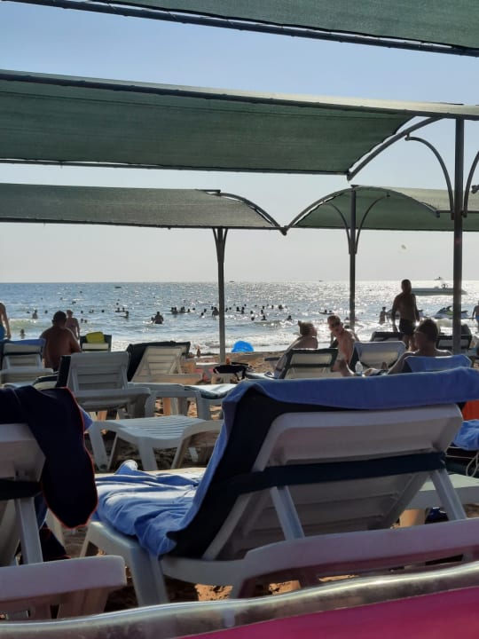 Strand Trendy Palm Beach (Adults Only, 16+)